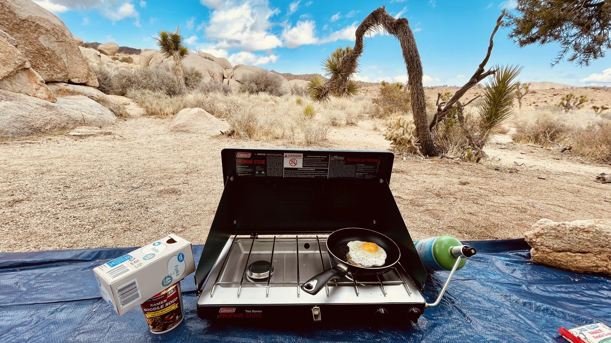 What Kind Of Camping Stove Should I Buy?